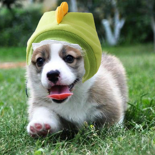 Gorro Para Mascotas Gorro Para Mascotas Gorro Calmante De Mo