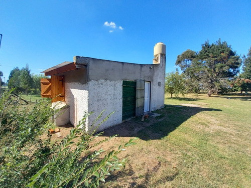 Imagen 3 de 11 de Lote Con Vivienda En Paraje Pavon (210)
