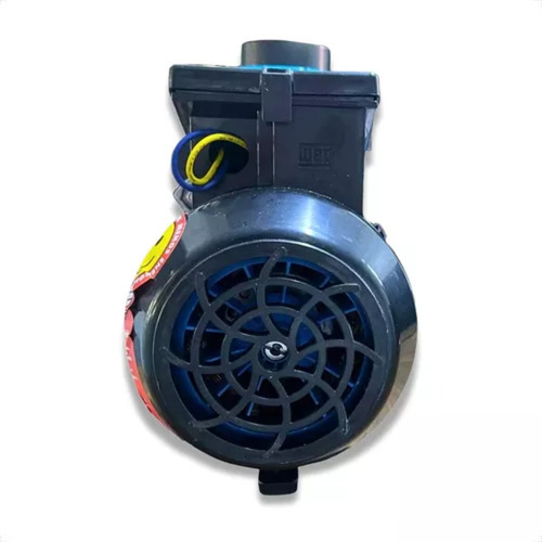 Bomba Para Piscina 1/3 Cv Bmp 33 Mono Tensão Única 220v Weg