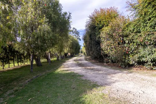 Casa En Arriendo/venta En Canelon. Cod A11895