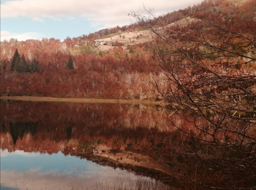 Imagen 9 de 11 de Alquilo Por Día Departamento En San Martín De Los Andes. 2/3