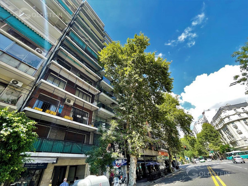 Imagen 2 de 30 de Departamento - Barrio Norte