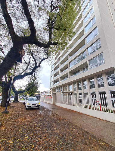 Nuevo Depto En Aires De Collao, Concepción (92104)