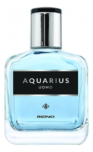 Perfume Masculino Aquarius - Reino