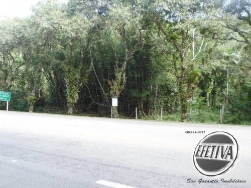 Imagem 1 de 5 de Terrenos 600m² Prainha - Guaratuba - 553t