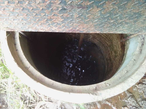 Imagen 12 de 15 de Se Vende Finca En Nirgua Sector Las Palmas / Yaracuy.