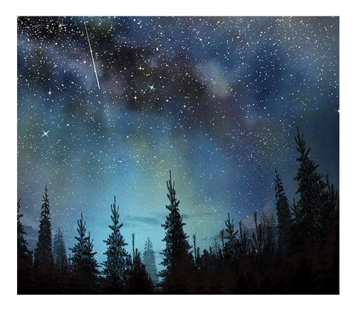Vinilo 45x45cm Cielo Bosque Estrellado Aurora Boreal