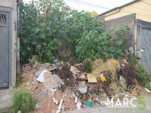 Imagem 3 de 9 de Terreno - Jardim Do Vale - 1854