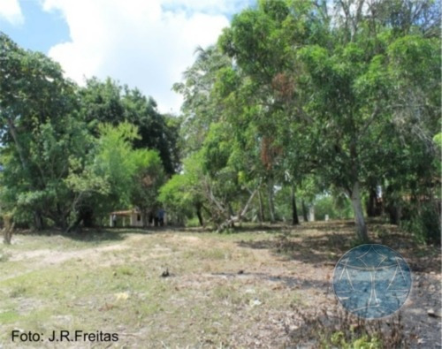 Imagem 4 de 9 de 3.8 Hectares Em Zona Urbana De Parnamirim - V-7555