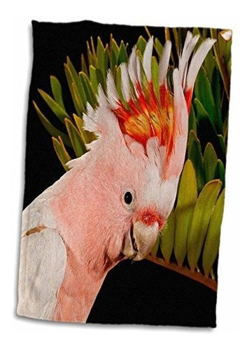 3d Rose Major Mitchells Cockatoo-bird En Australia-na02 Dno0