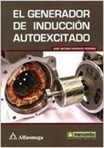 Generador De Induccion Autoexcitado