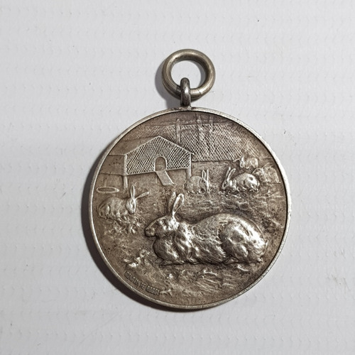 Antigua Medalla Cría De Conejos Autor Rossi Sello Mag 60124