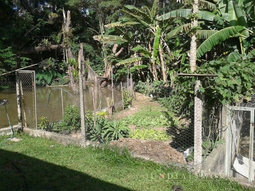 Imagem 13 de 30 de Chácara À Venda No Jd. Europa Em Campo Limpo Pta. - 12 Mil M², 02 Casas, Piscina, Asfalto Na Porta, Estuda Permuta. - Ch00131 - 2780602