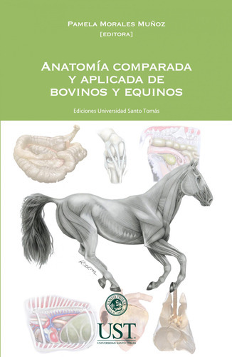 Anatomía Comparada Y Aplicada De Bovinos Y Equinos, De . Editorial Ril Editores, Tapa Blanda En Español, 2021