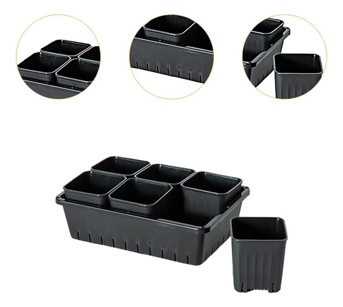 Maceta Para Trasplante De Plántulas, Caja De 6 Rejillas