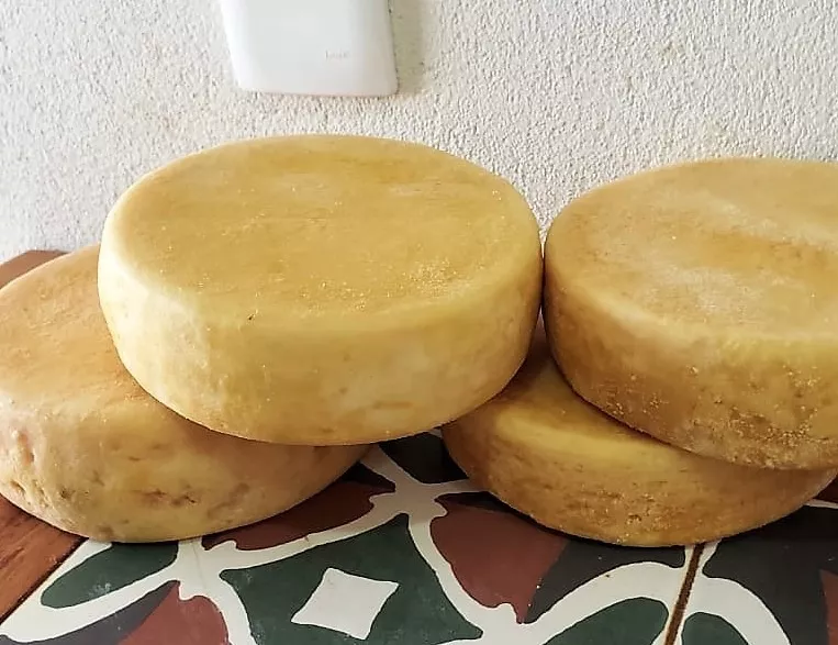 Segunda imagem para pesquisa de queijo canastra