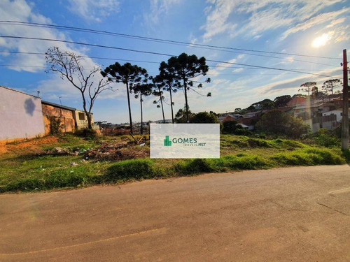 Imagem 4 de 7 de Terreno À Venda, 2150 M² Por R$ 850.000,00 - Gralha Azul - Fazenda Rio Grande/pr - Te0035