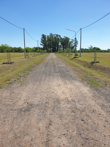 Barrio Abierto Ecovida De 300 M2. Pronta Entrega. Sobre Ruta 18.