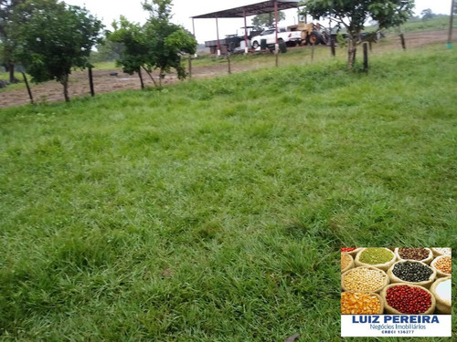 Imagem 12 de 15 de Fazenda À Venda Em Divinópolis - To - De 205 Alqueirões (dupla Aptidão) - 1673