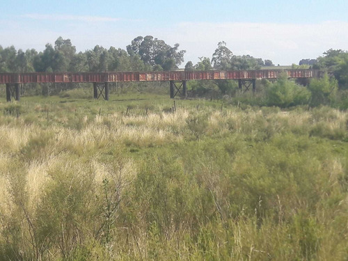 Imagen 8 de 19 de 1086- Venta Campo 136 Hectareas En Estacion Solis Minas Lavalleja