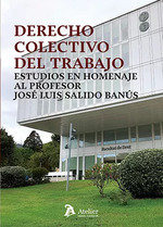 Libro Derecho Colectivo Del Trabajo Estudios En Homenaje ...