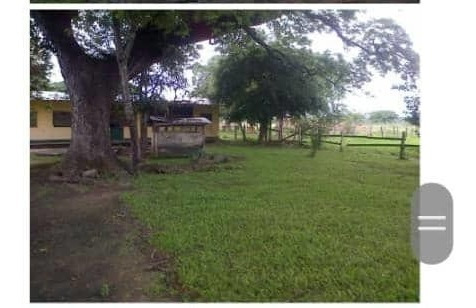 Imagen 7 de 13 de Hato En Calabozo, Edo. Guárico
