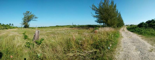 Venta Lotes 400 M² Playa Sur Tamiahua Veracruz