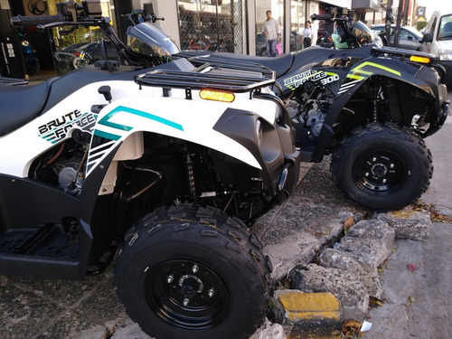 Imagen 7 de 16 de Kawasaki Brute Force 300 (no Honda 420) 12 Y 18 Sin Interes