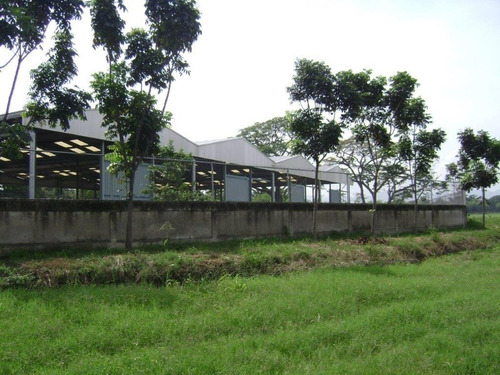 Imagen 8 de 10 de Terreno Con Estructura Para Galpones Industriales