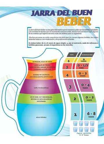 Plato Del Buen Beber Cartel Vinil Impreso 1x1.3m Educativo