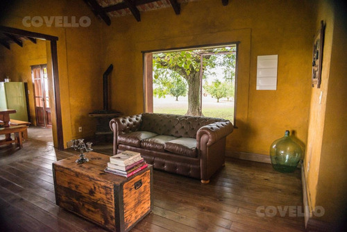 Imagen 7 de 23 de Campo 24 Hectáreas, Destino Productivo Y Turístico. Dos Casas, Galpón, Vista Panorámica.