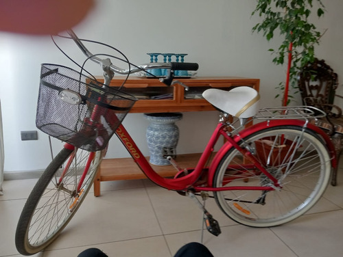 Bicicleta Canasta Oxford, Incluye Casco