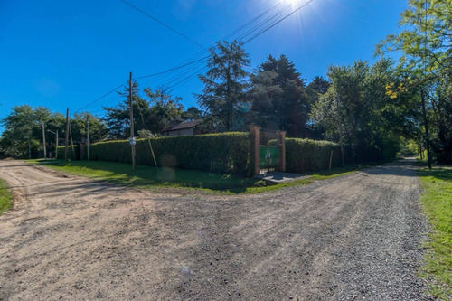 Imagen 15 de 17 de Lote En Venta En Villa Elisa