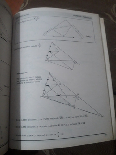Libro Geometría Congruencia De Triángulos Didy Ricra Osorio (Usado)