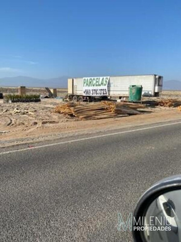 Muy Cercano A Punta Choros