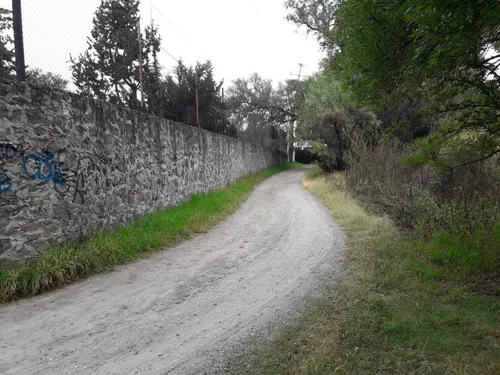 Finca Elsa Alicia (precio A Tratar)