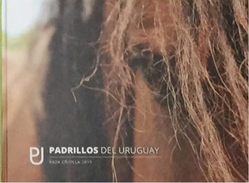 Padrillos  Del Uruguay  Raza Criolla  2015