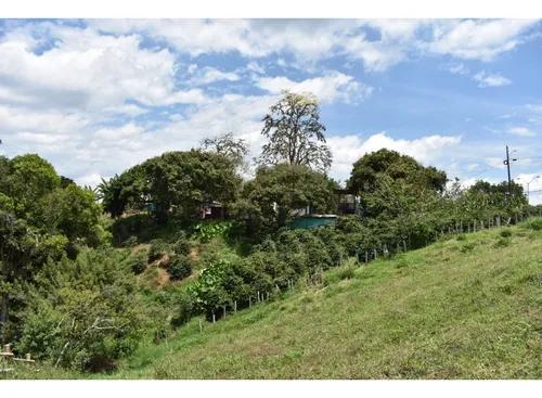 Se Vende Lote En Quimbaya Quindío