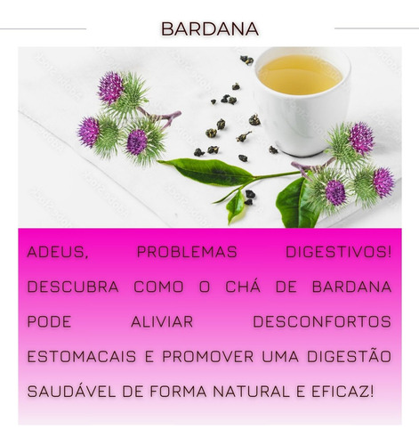Leve 2 Folhas De Bardana Desidratada Erva Própria P Chá