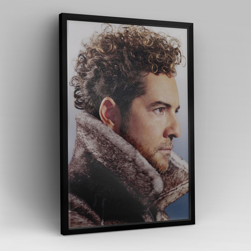 Cuadro David Bisbal 40x30 Cm C/ Vidrio