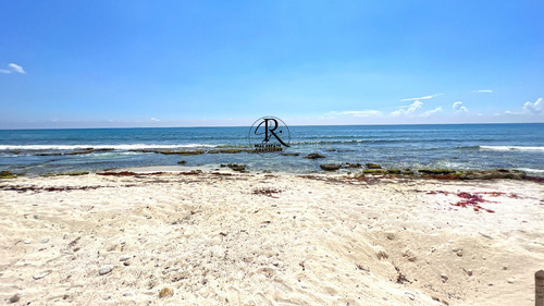 Puerto Morelos: Vive O Invierte En Un Lote Único Frente Al Mar