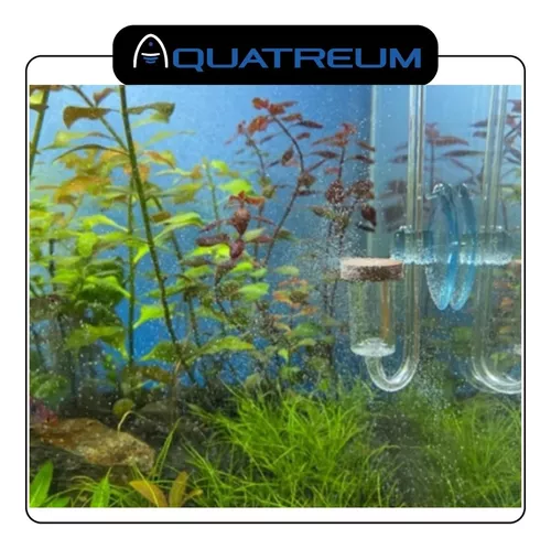 Difusor de cerámico CO2 para acuarios plantados de hasta 250 litros.