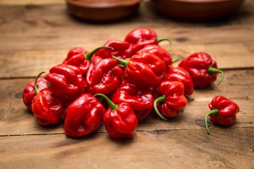 Sementes De Pimenta Boyra Habanero Vermelha 200 Sementes