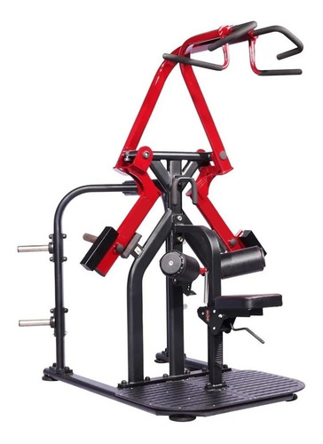 Reverse Seated Pull-down, Equipo Profesional Peso Libre