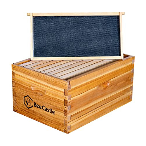 Caja De Colmena Profunda/de Cría Langstroth Sin Ensamb...