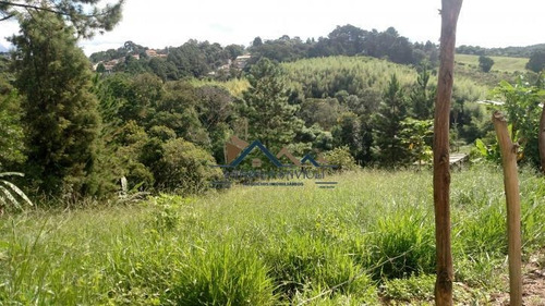 Imagem 4 de 15 de Área No Centro De Caucaia. Oportunidade Para Investir! - 202