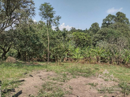 Imagem 6 de 11 de 2.100 M², Belíssimo Terreno Próximo A Rodovia !!
