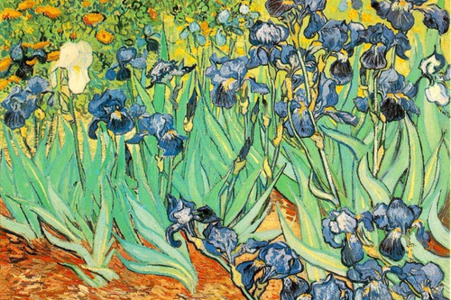 Lirios - Van Gogh - Detalle - Cuadro Arte