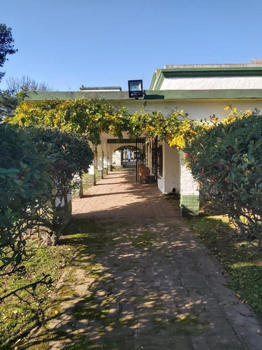 Imagen 11 de 30 de Venta Hermosa Chacra Haras Con Casco Y Mejoras En San Miguel Del Monte