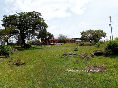 Increíble Terreno Con Manantial
